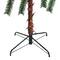 Northlight; 4ft. Pre-Lit Artificial Tropical Outdoor Palm Christmas Tree, Multicolor Lights; Category:Shop All Christmas Trees; Image:3